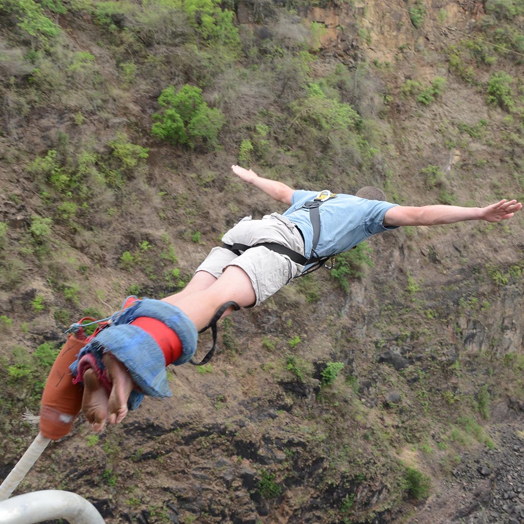 bungee jump off the iconic Victoria Falls bridge