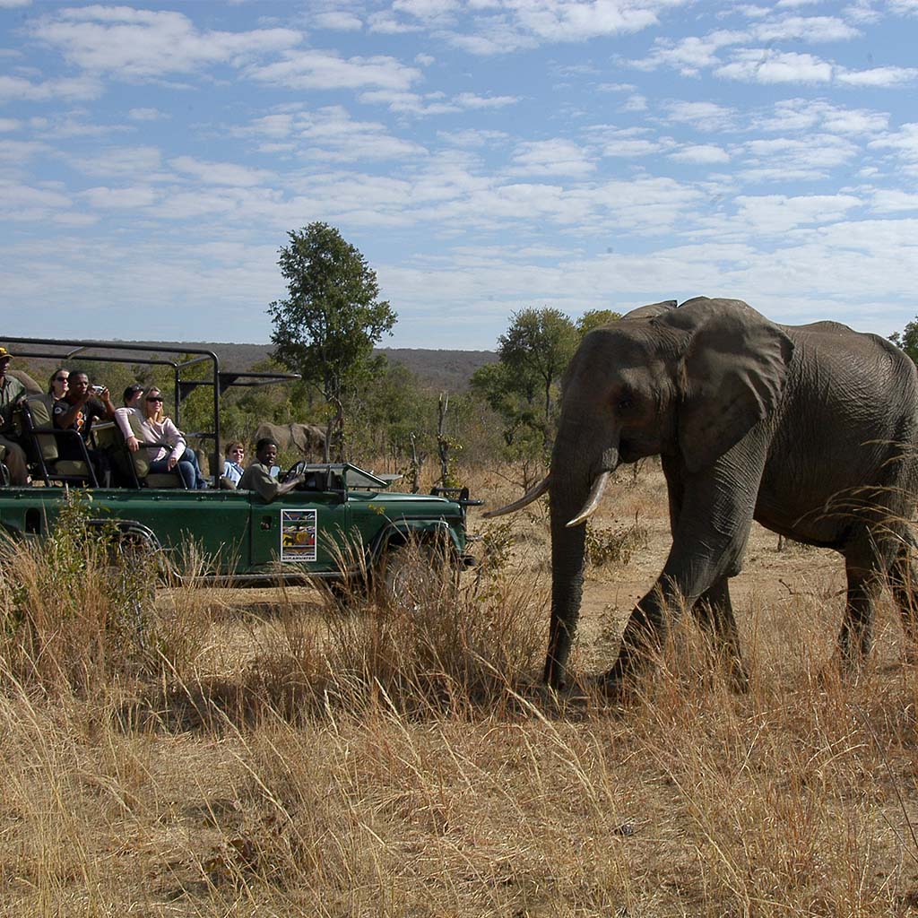 Game drive with Shearwater Adventures at the Zambezi national park in Victoria Falls